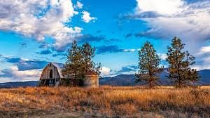 Rathdrum Prairie landscape